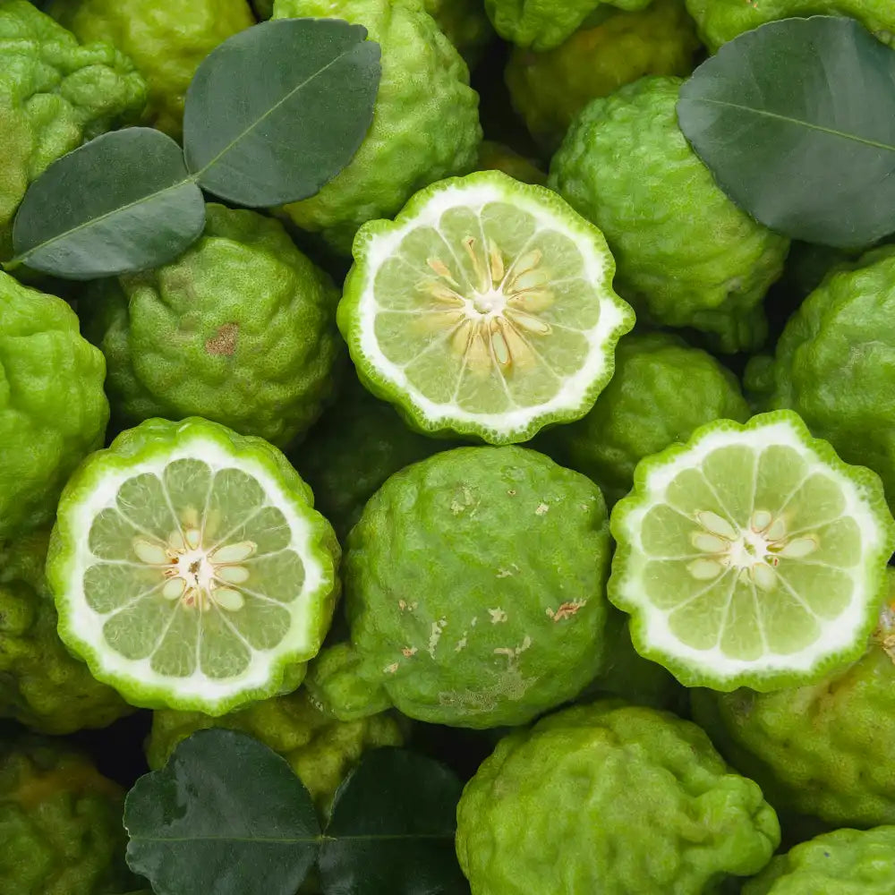 Bergamot Essential Oil