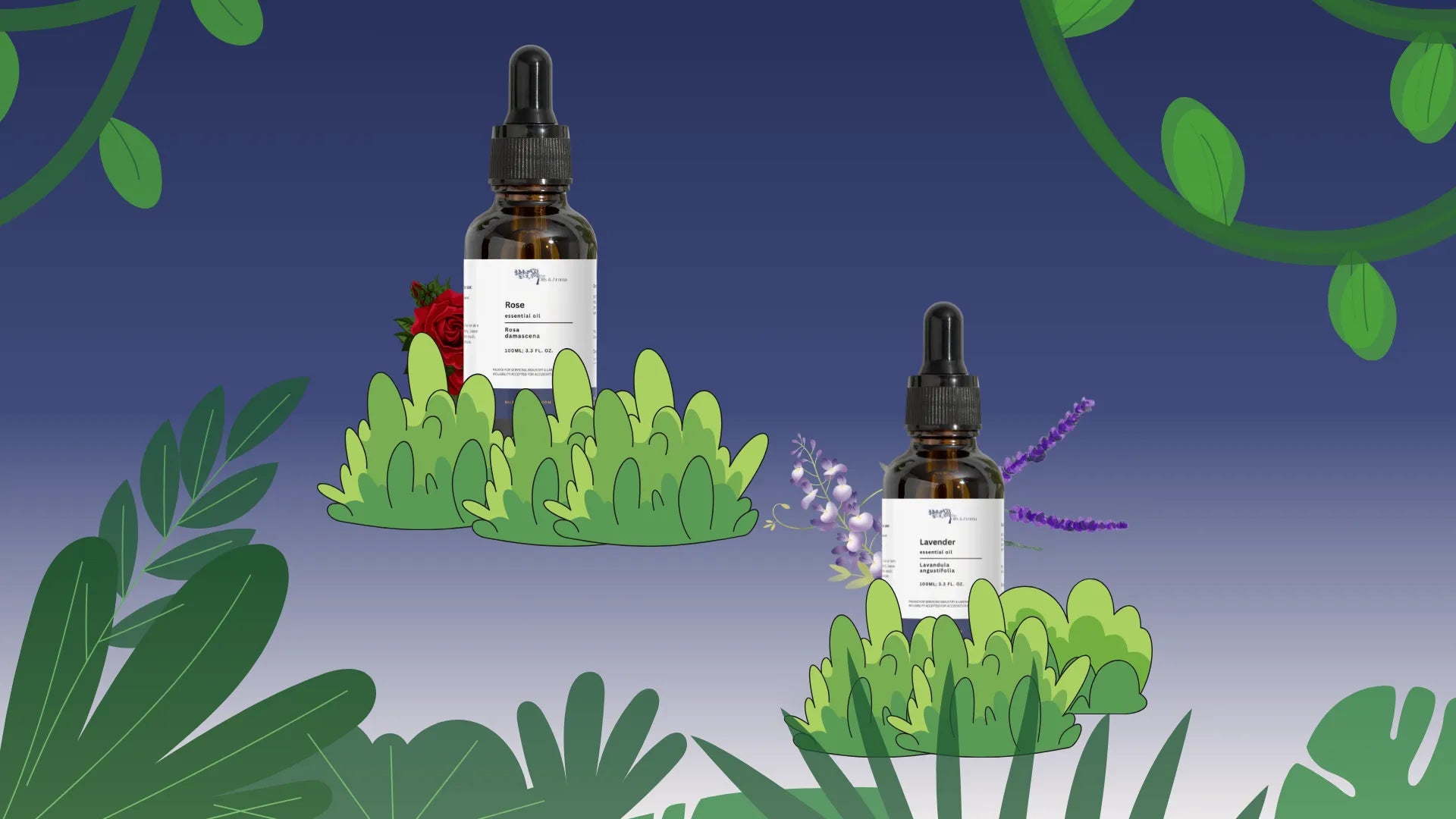 Two amber glass dropper bottles of Rose and Lavender essential oils nestled in vibrant green cartoon foliage, set against a dark blue gradient background with stylized jungle vines.