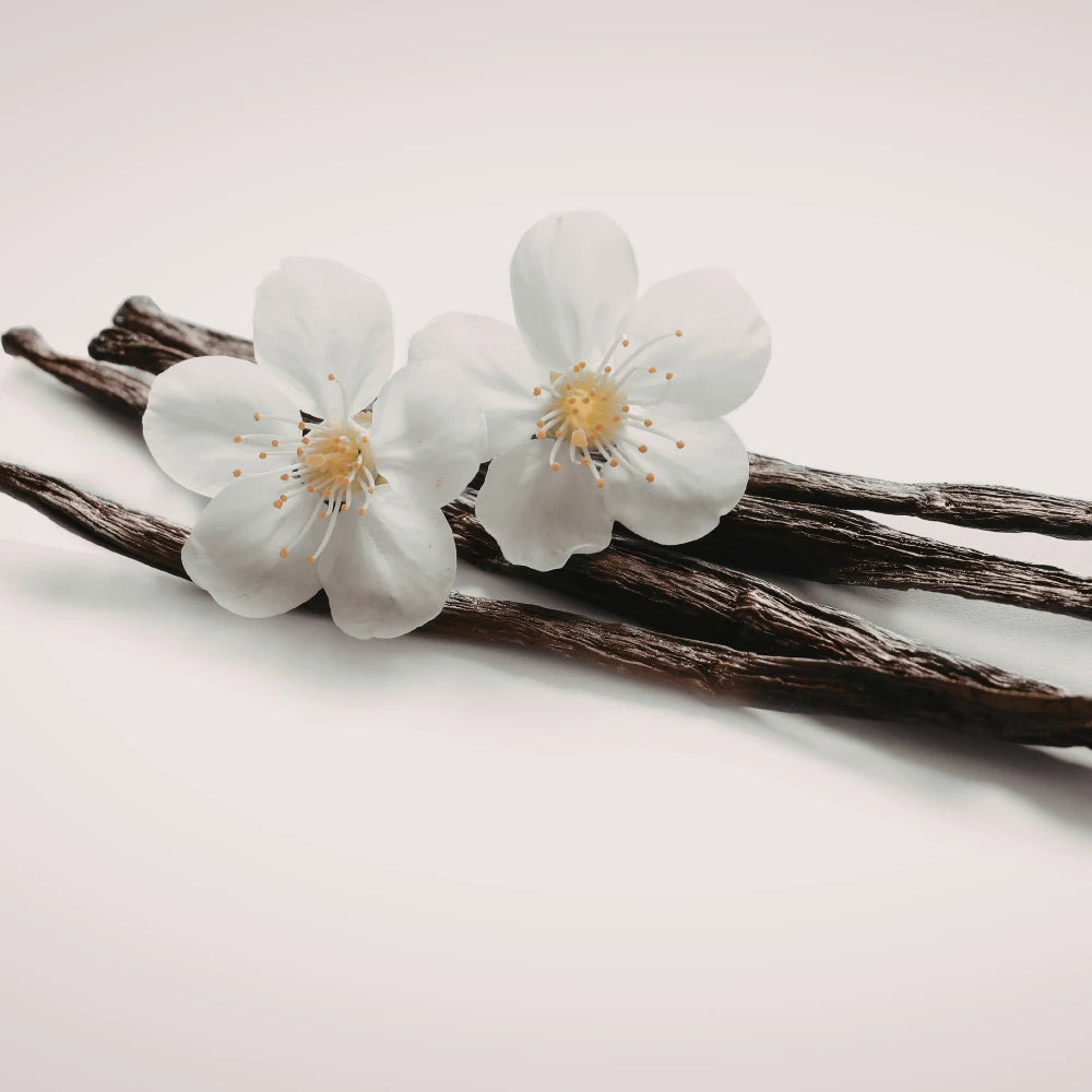 Vanilla Essential Oil
